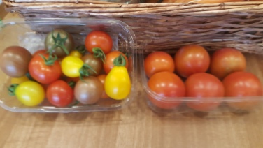 The Organic College Dromcolligher Tomatoes